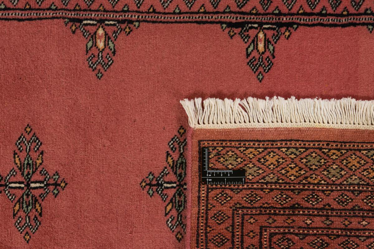Pakistański Buchara 2ply - 1