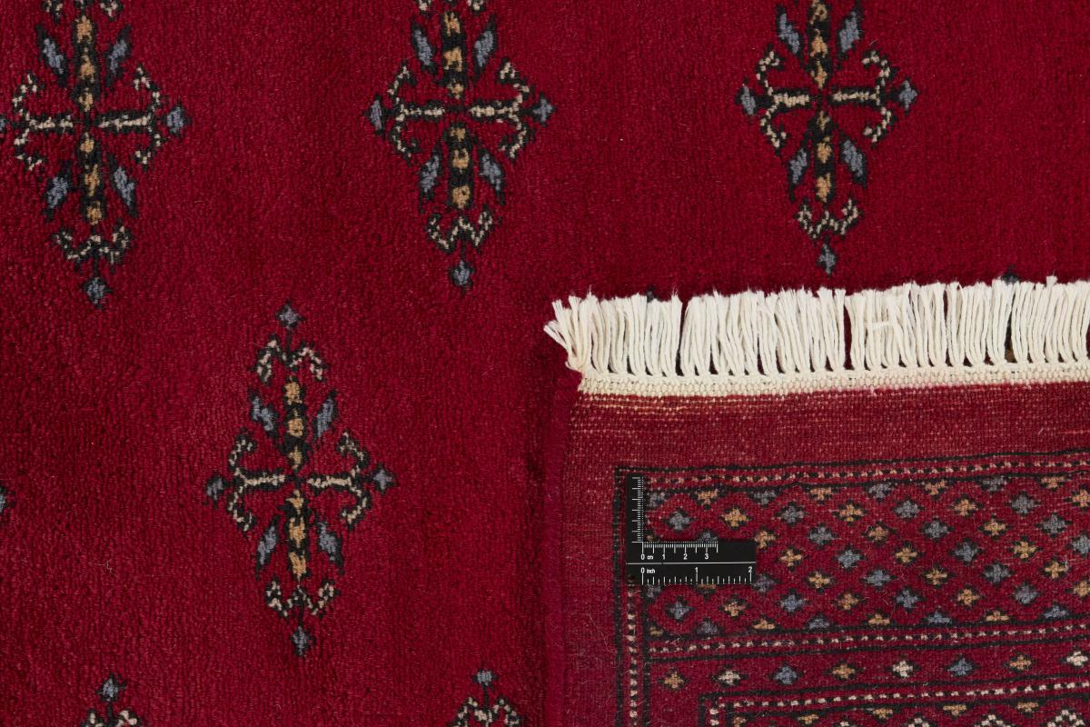 Pakistan Buchara 3ply - 1