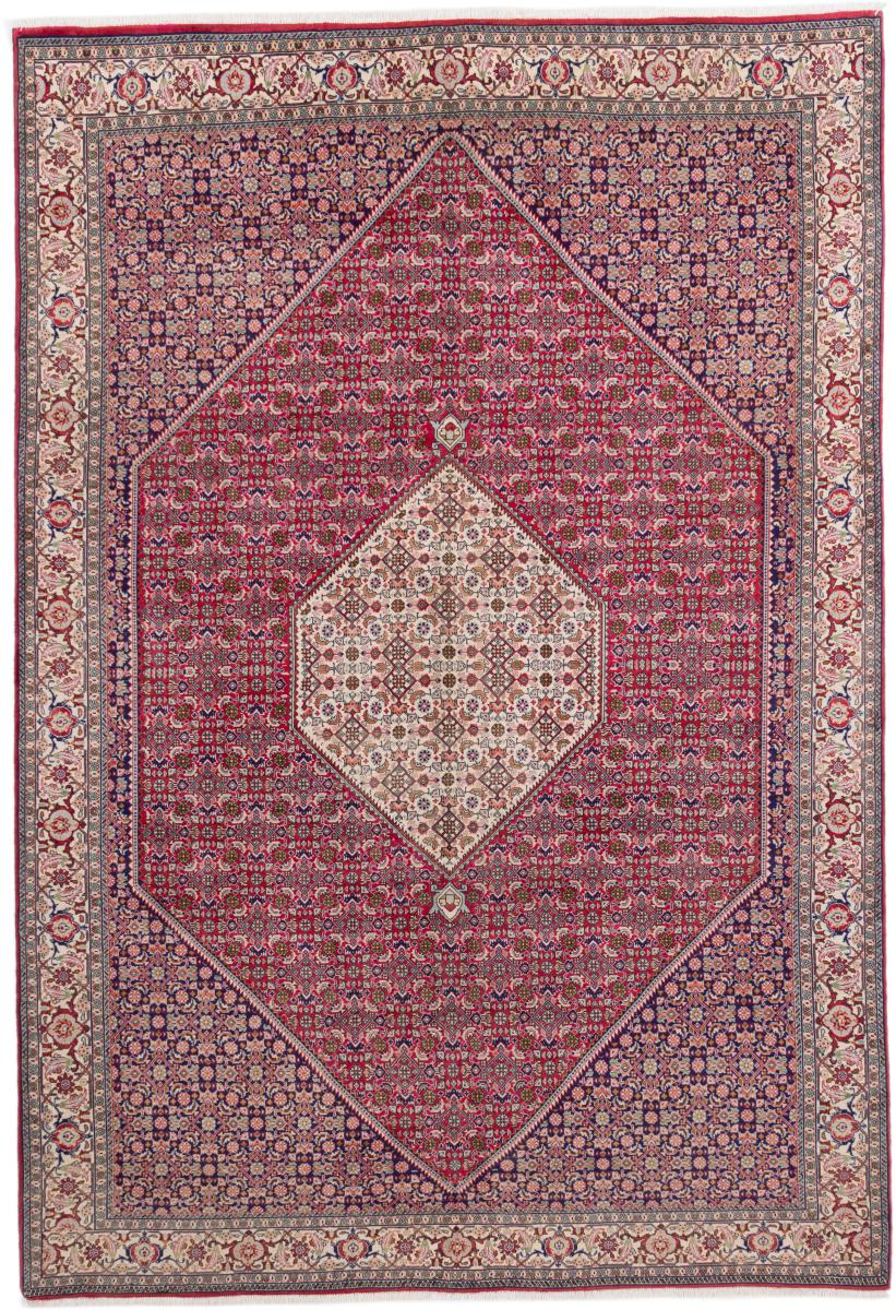 Perzisch tapijt Hamadan 287x194 287x194, Perzisch tapijt Handgeknoopte