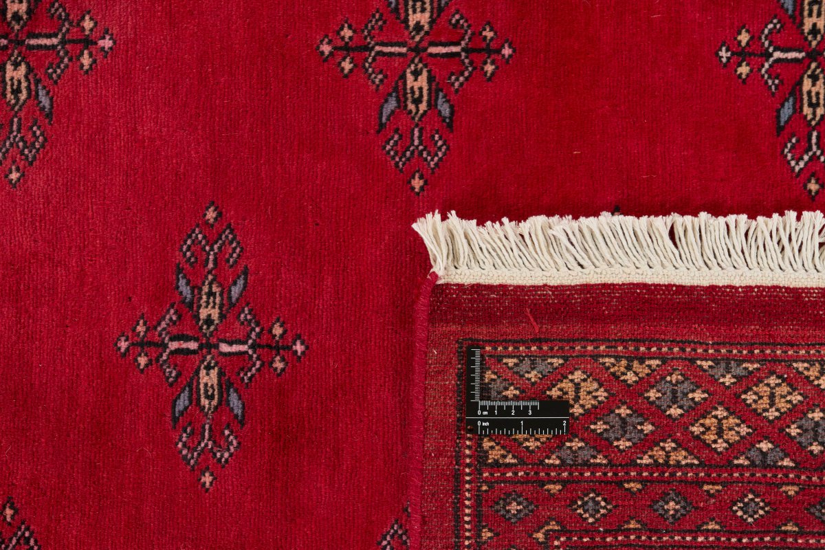 Pakistan Buchara 2ply - 1