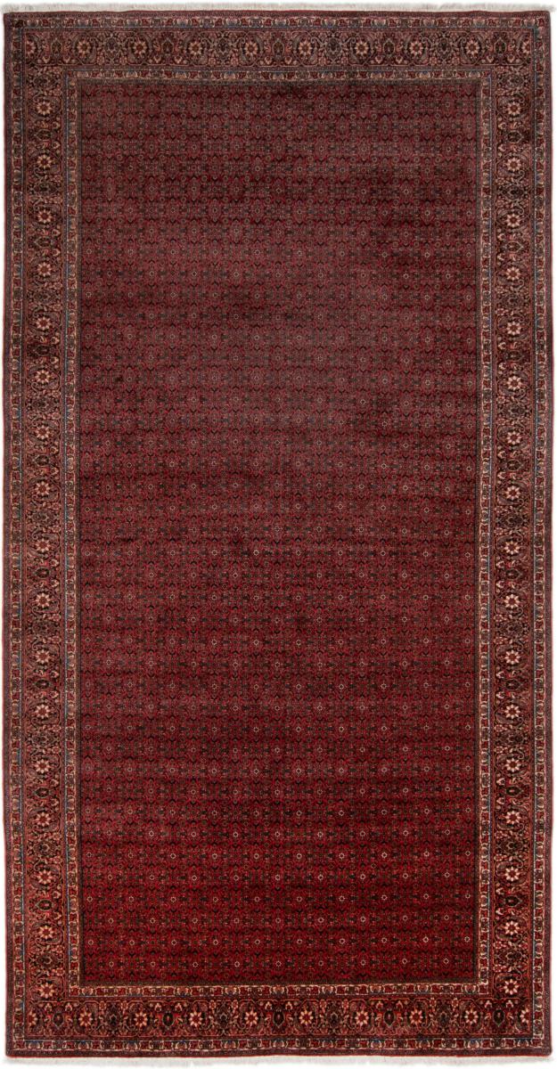 Persian Rug Bidjar 494x259 494x259, Persian Rug Knotted by hand