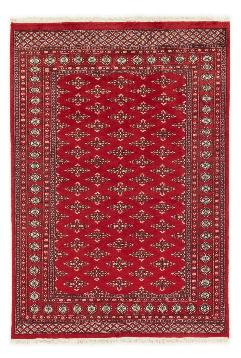 Tapis pakistanais Pakistan Buchara 2ply 238x165 238x165, Tapis persan Noué à la main
