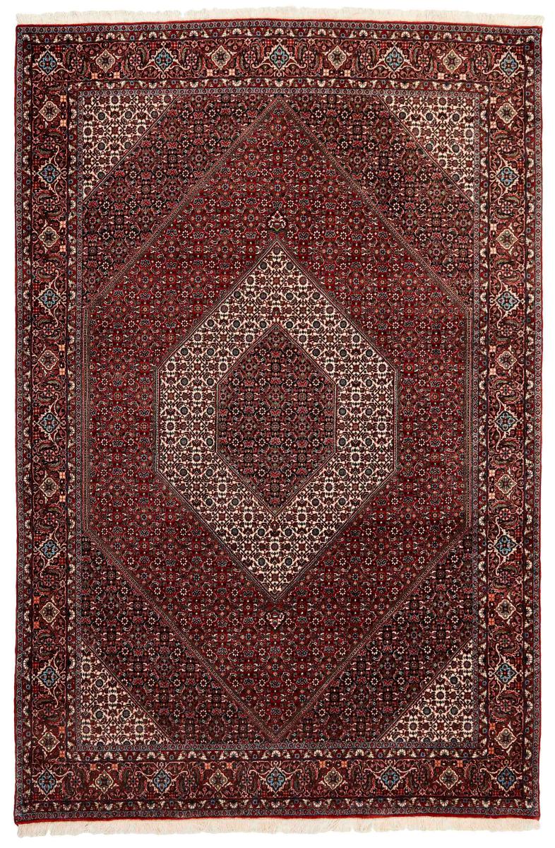 Persian rug Bidjar 308x202 308x202, Persian rug Hand-knotted