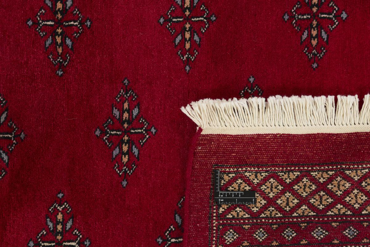Pakistan Buchara 3ply - 1