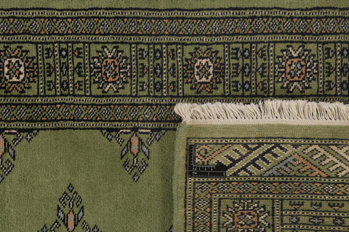 Pakistan Buchara 2ply - 1