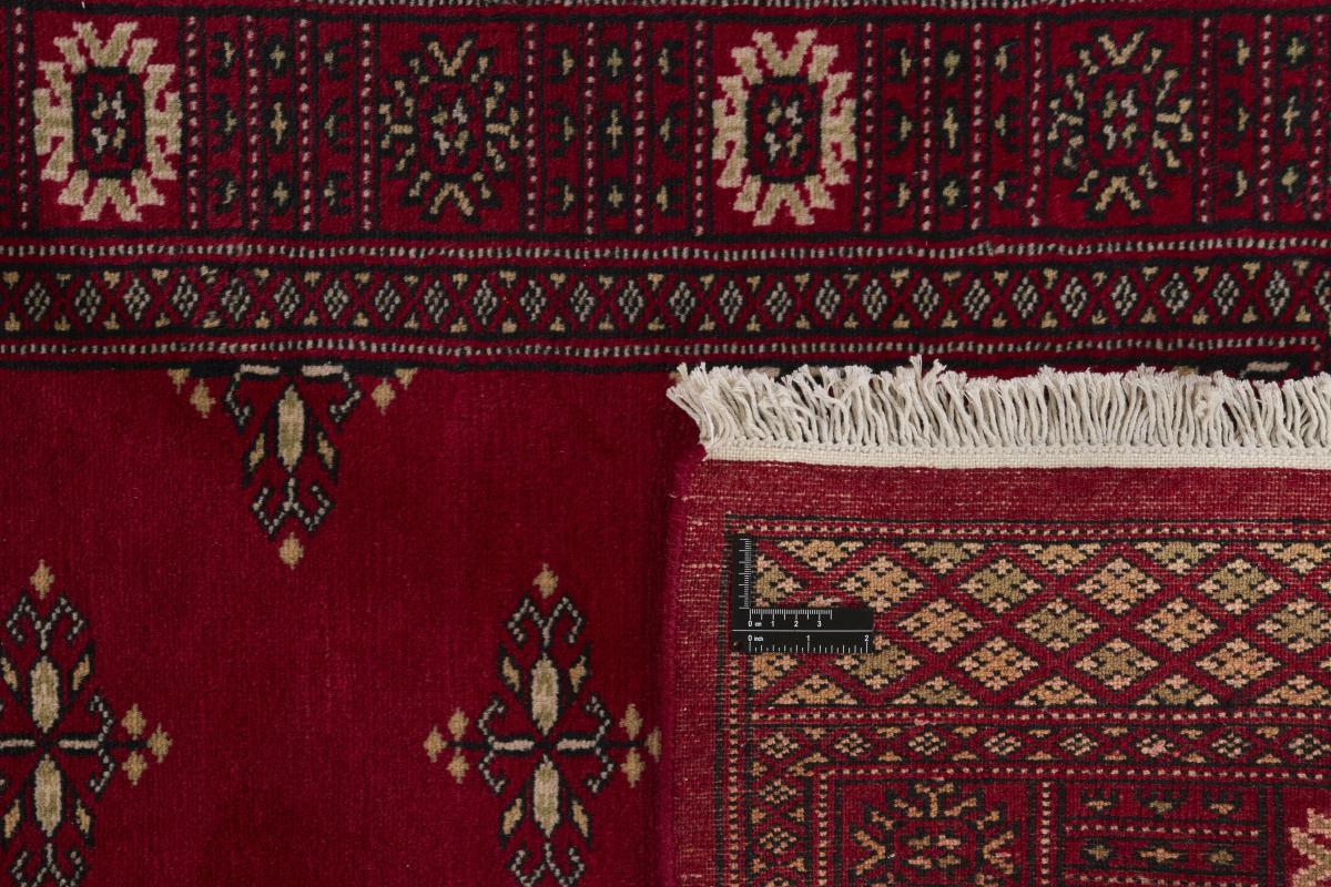 Pakistan Buchara 2ply - 1