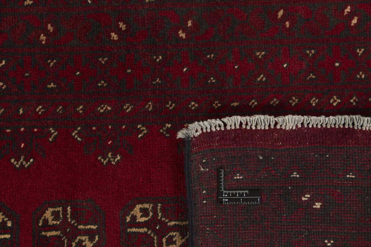 Afghan Akhche - 1