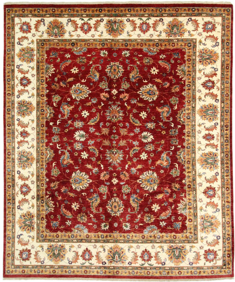 Pakistansk teppe Arijana 302x254 302x254, Persisk teppe Knyttet for hånd