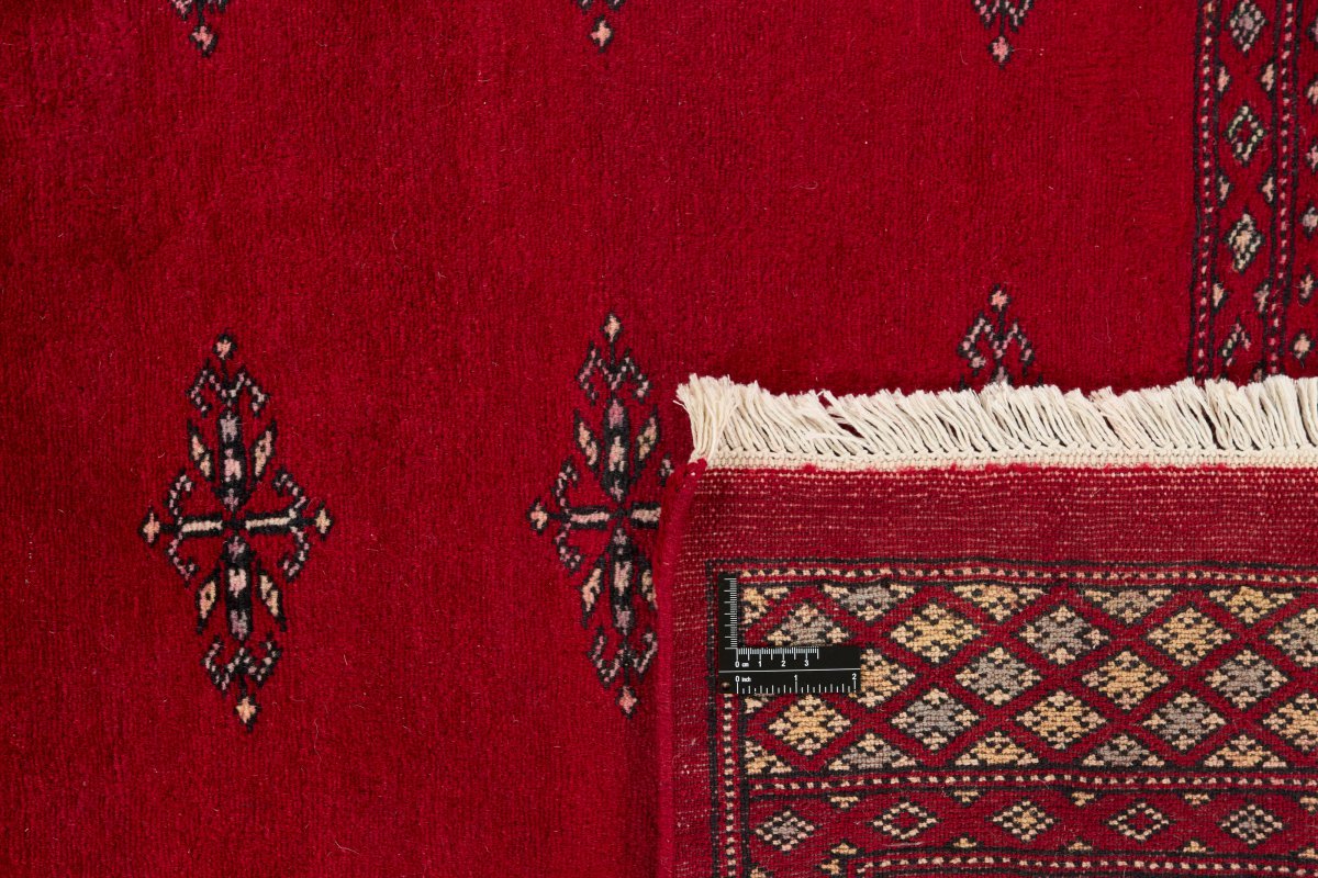 Pakistan Buchara 2ply - 1