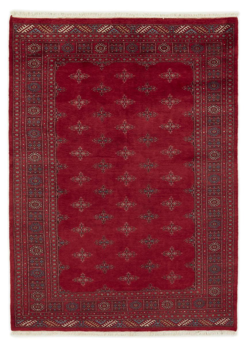 Tappeto pakistano Pakistan Buchara 3ply 237x171 237x171, Tappeto persiano Annodato a mano