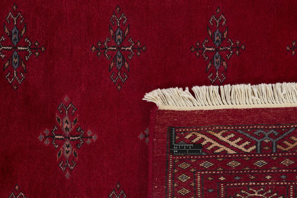 Pakistan Buchara 3ply - 1