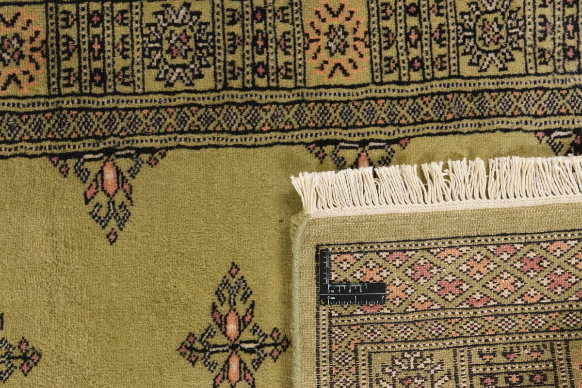 Pakistan Buchara 2ply - 1