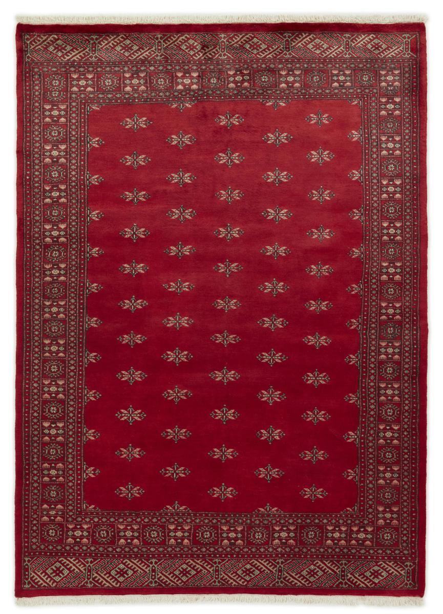 Tappeto pakistano Pakistan Buchara 3ply 243x175 243x175, Tappeto persiano Annodato a mano