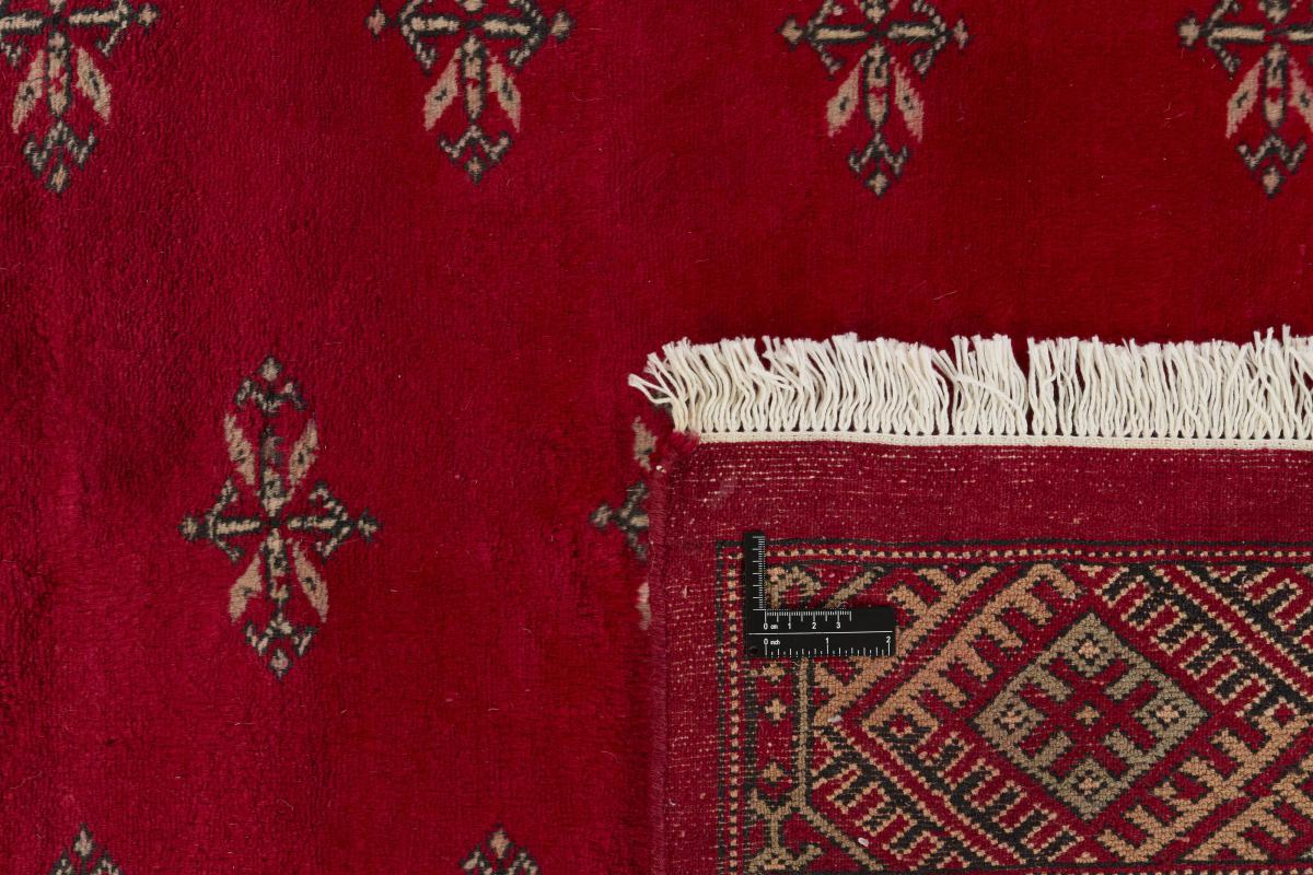 Pakistan Buchara 3ply - 1