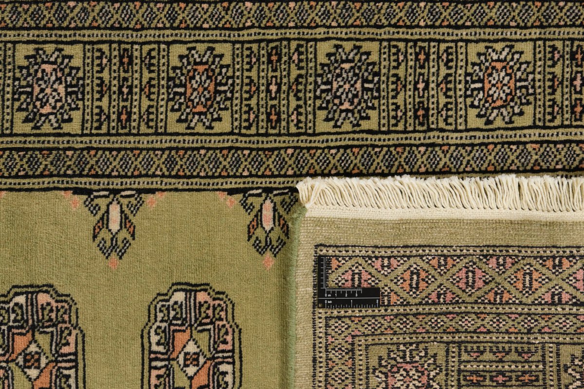 Pakistan Buchara 2ply - 1