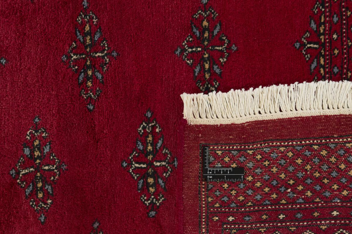 Pakistan Buchara 3ply - 1