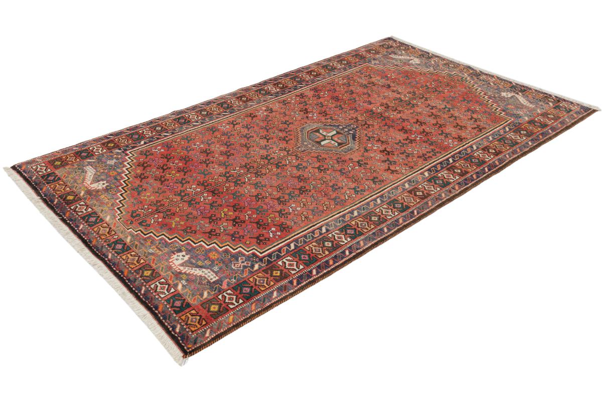 Shiraz - 1