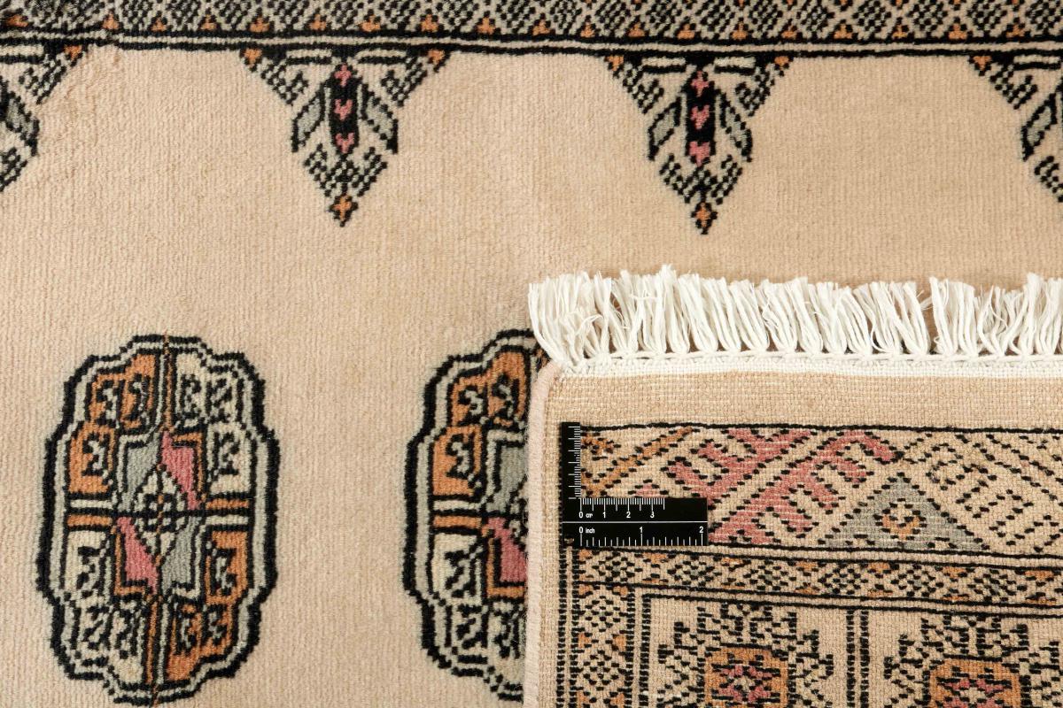 Pakistan Buchara 2ply - 1