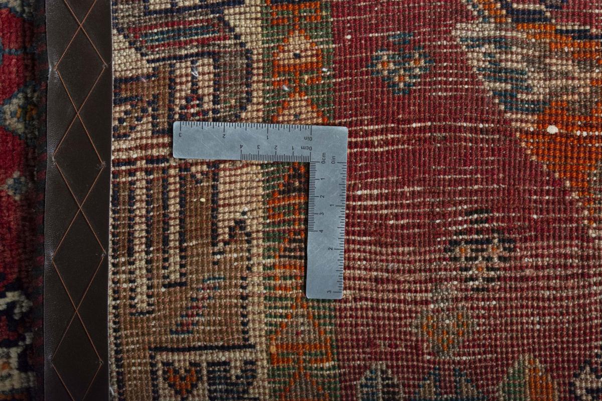 Shiraz - 1