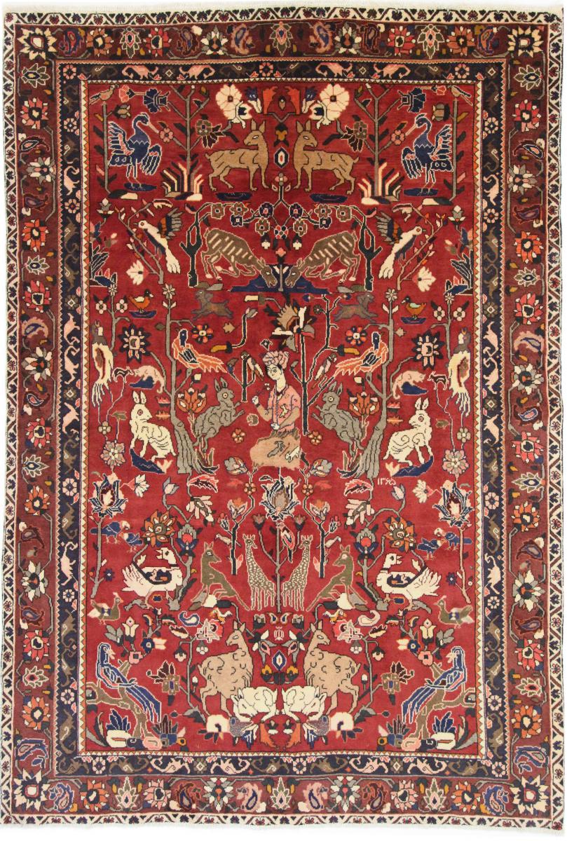 Persisk tæppe Bakhtiar 301x205 301x205, Persisk tæppe Knyttet i hånden