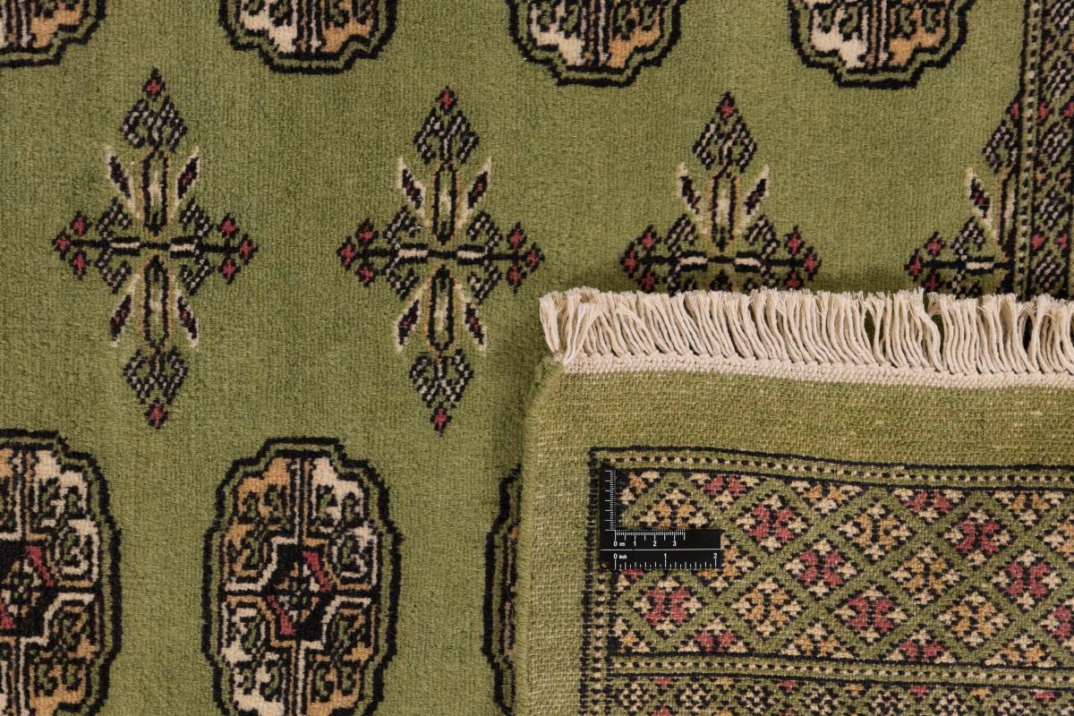 Pakistan Buchara 2ply - 1