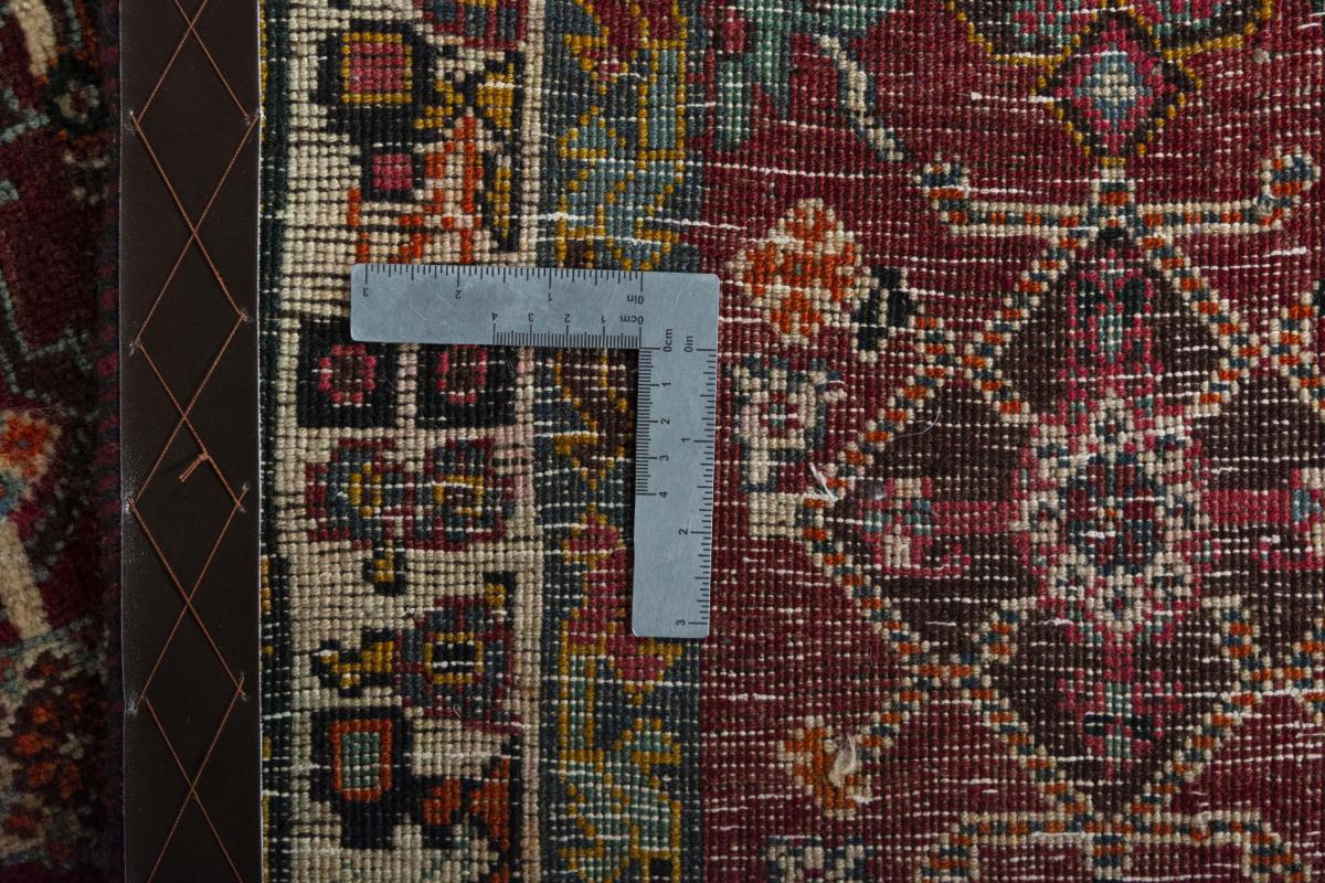 Shiraz - 1