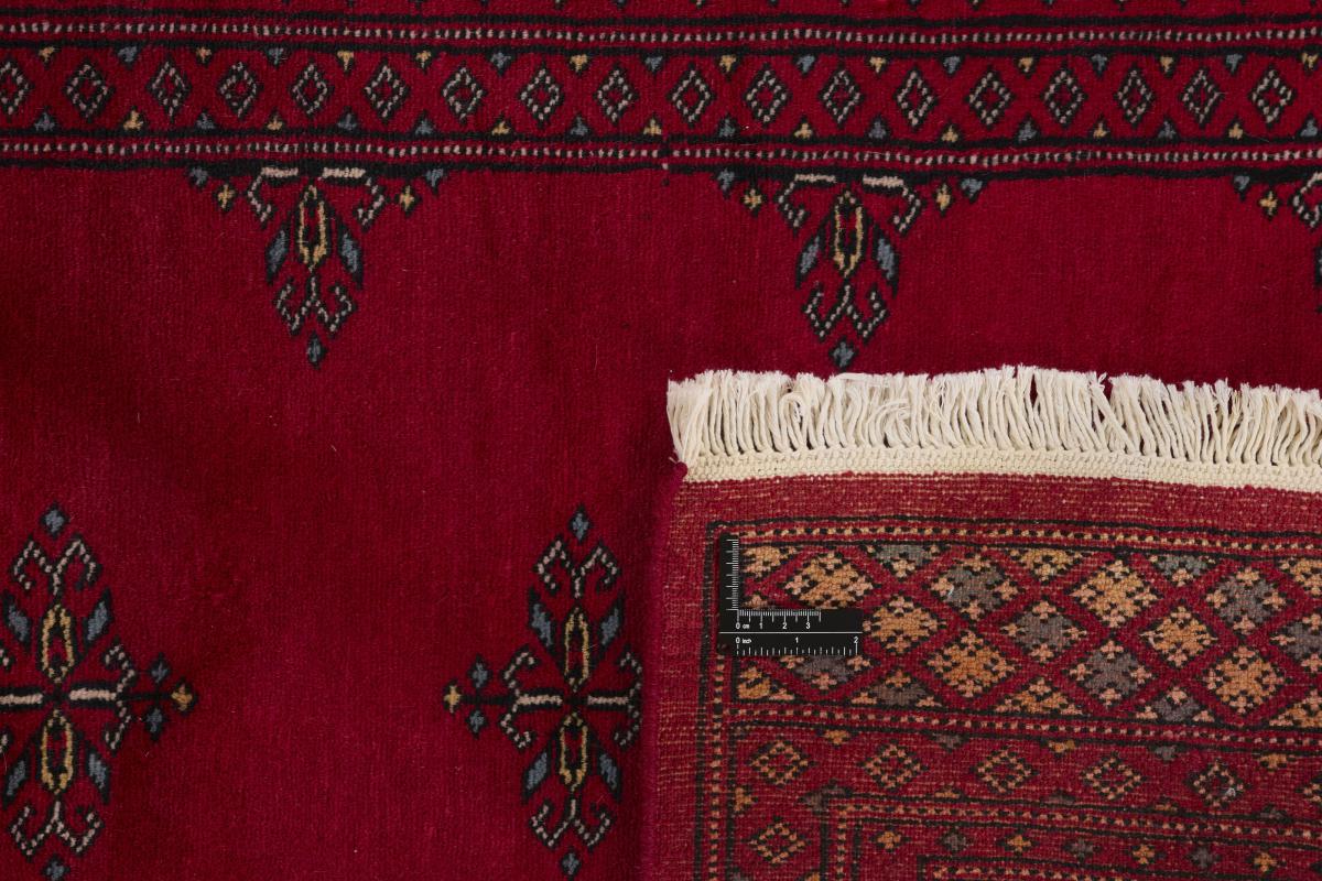 Pakistan Buchara 2ply - 1