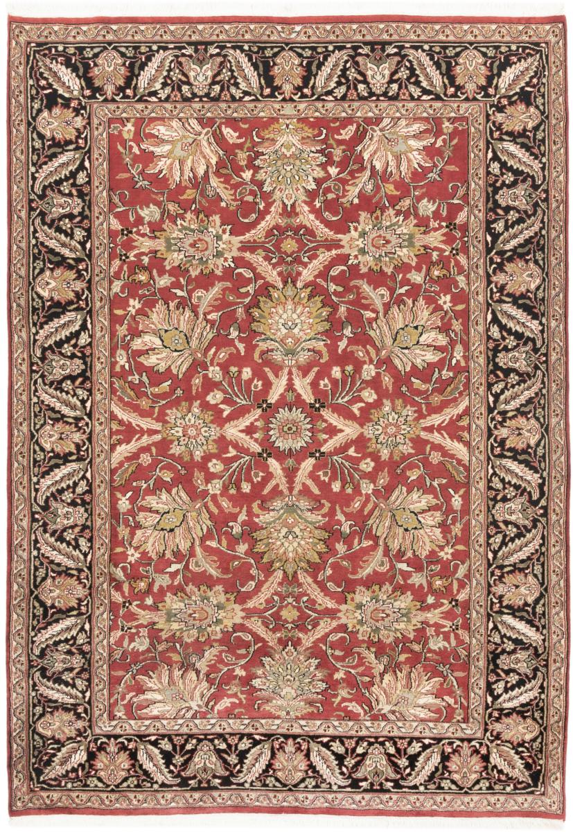 Indo rug Indo Keshan 263x186 263x186, Persian Rug Knotted by hand