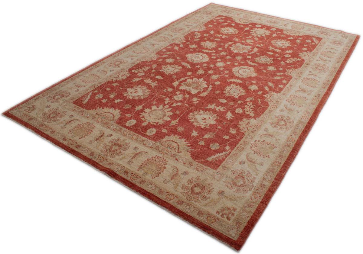 Ziegler Farahan - 1