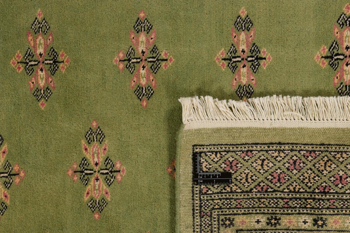 Pakistan Buchara 2ply - 1