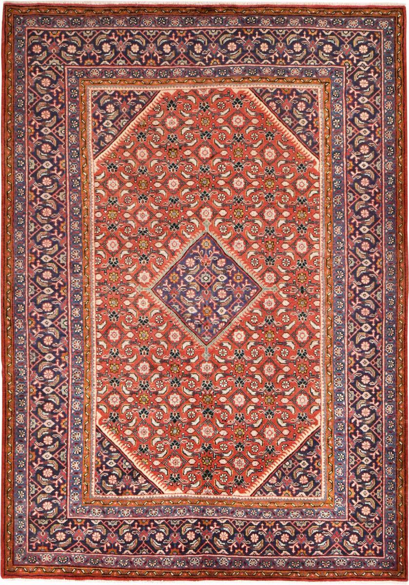 Persian Rug Hamadan 9'11"x6'11" 9'11"x6'11", Persian Rug Knotted by hand