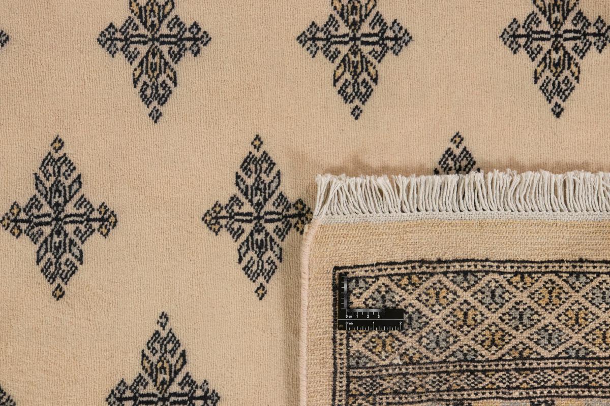 Pakistan Buchara 2ply - 1