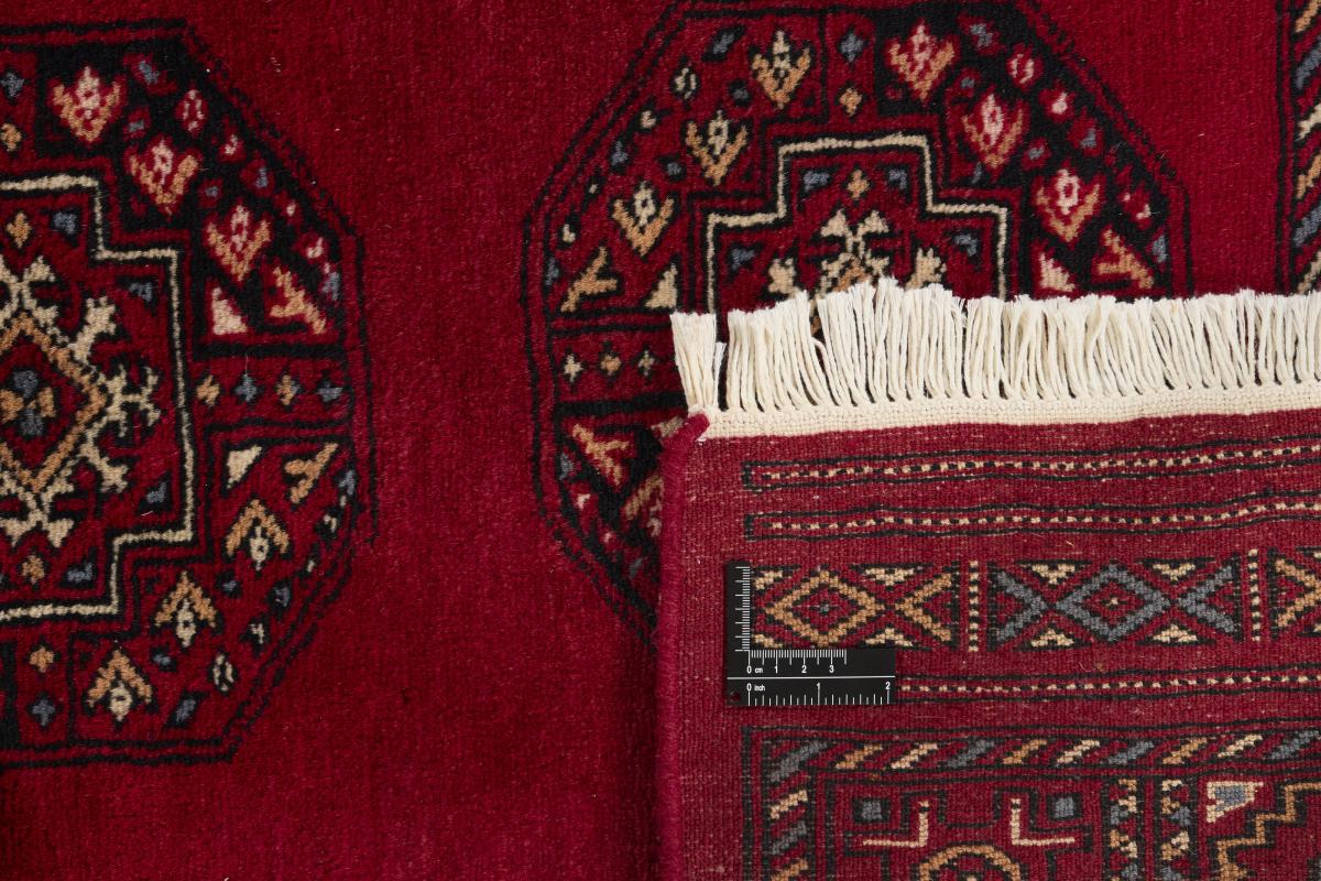 Pakistański Buchara 3ply - 1