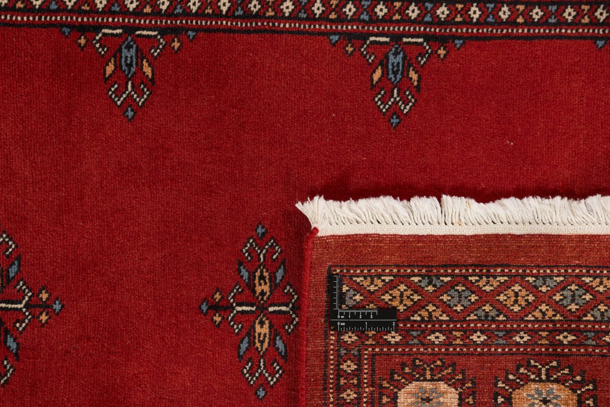 Pakistan Buchara 2ply - 1