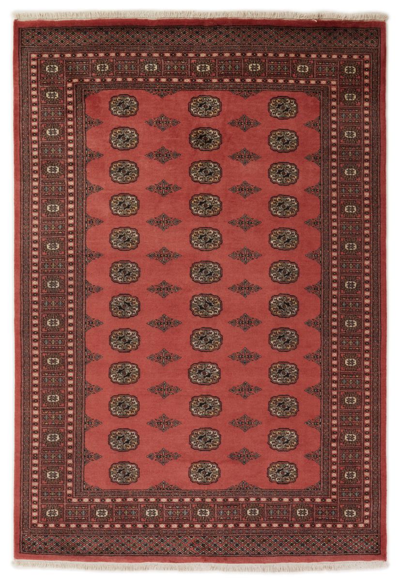 Tappeto pakistano Pakistan Buchara 2ply 246x171 246x171, Tappeto persiano Annodato a mano