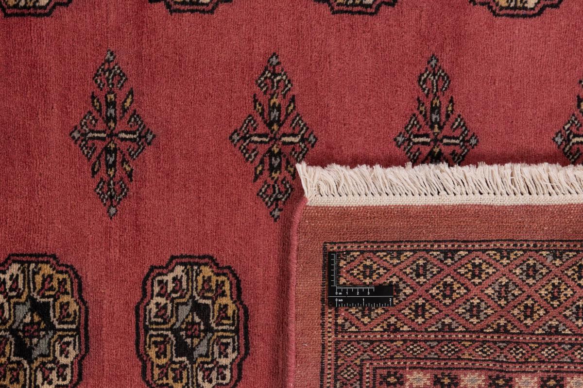 Pakistan Buchara 2ply - 1
