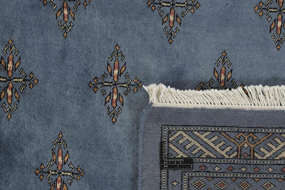 Pakistan Buchara 3ply - 1