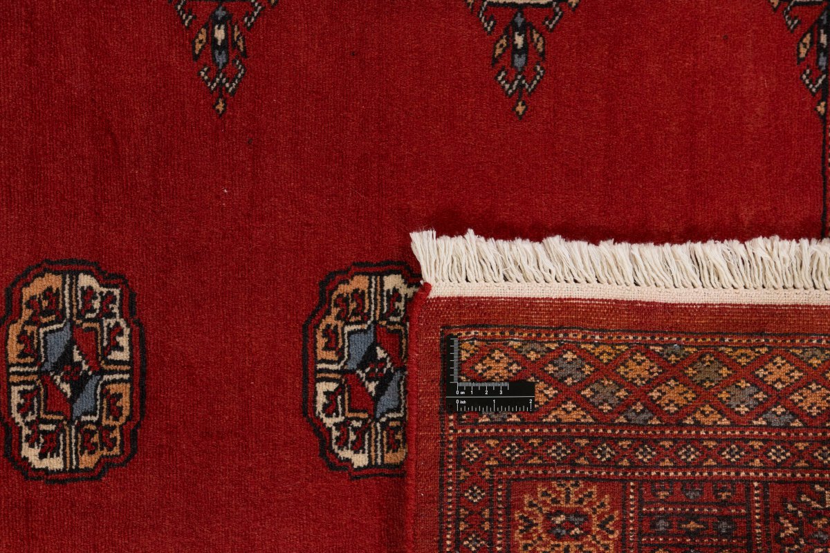 Pakistan Buchara 2ply - 1