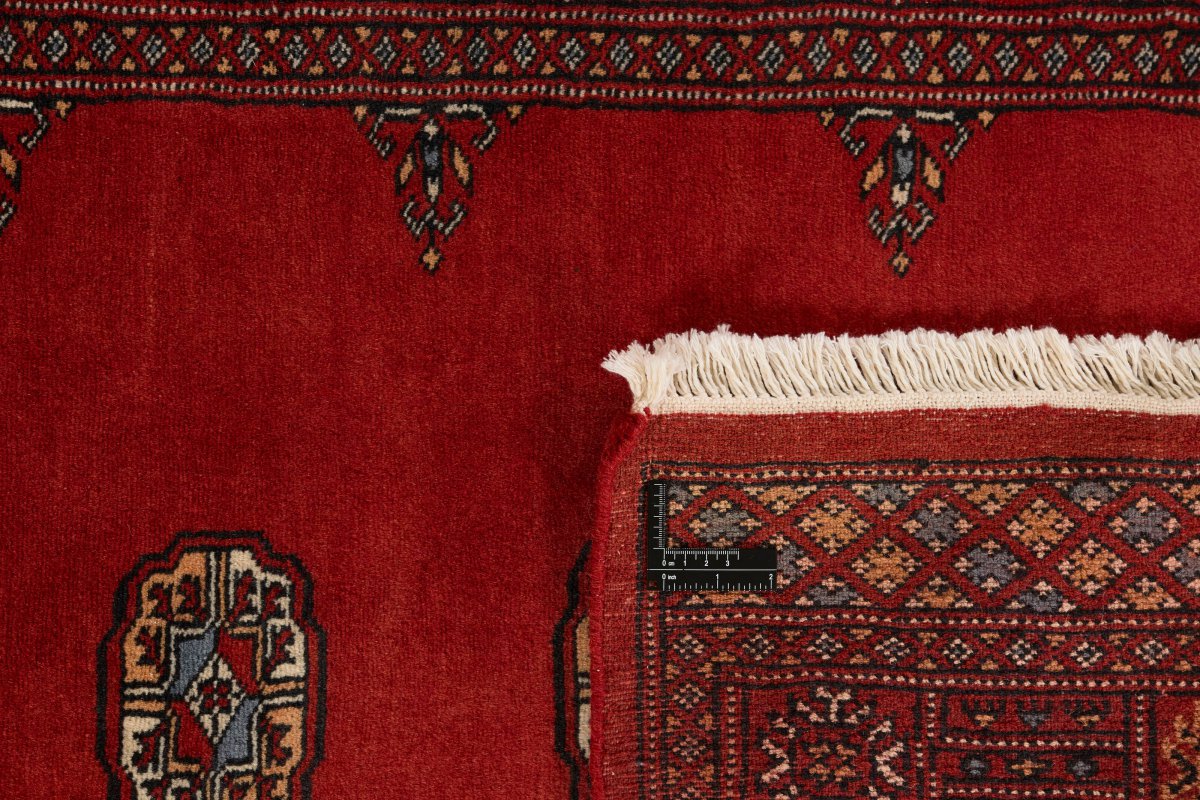 Pakistan Buchara 2ply - 1