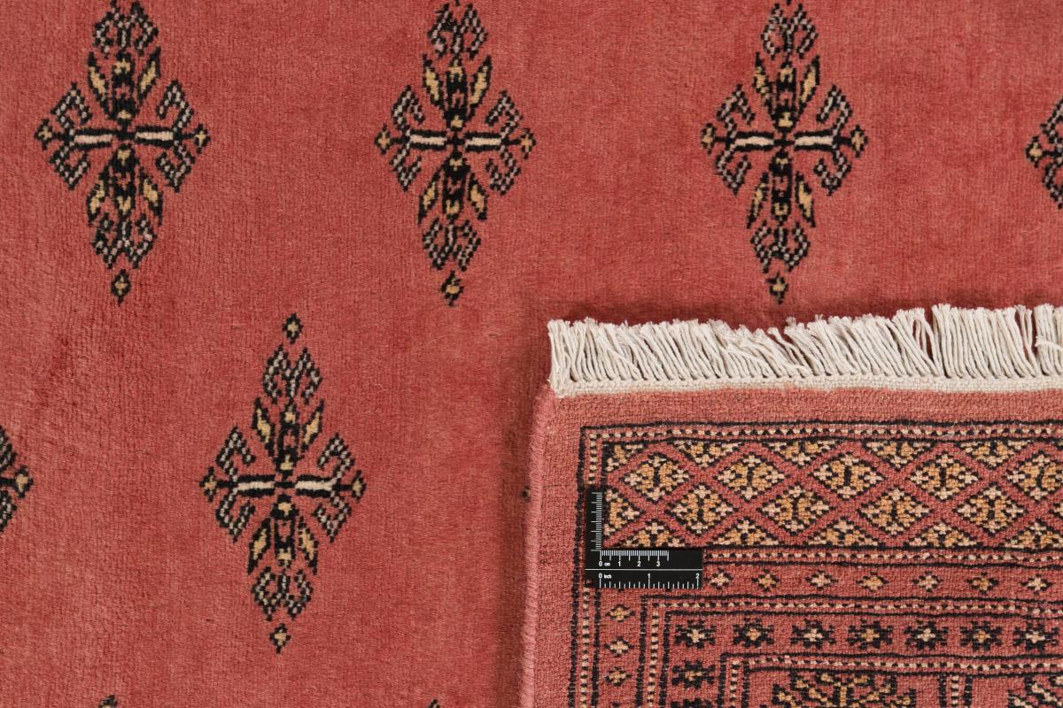 Pakistan Buchara 2ply - 1