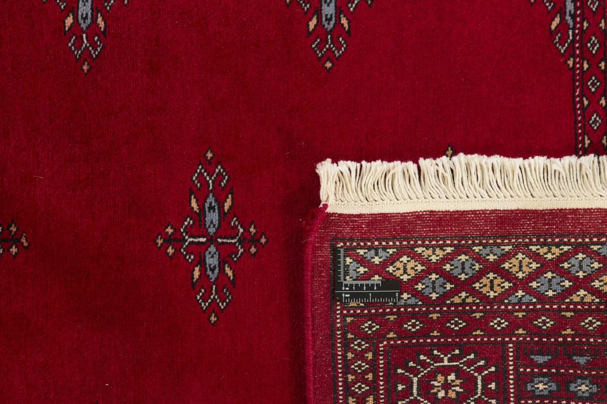 Pakistański Buchara 3ply - 1