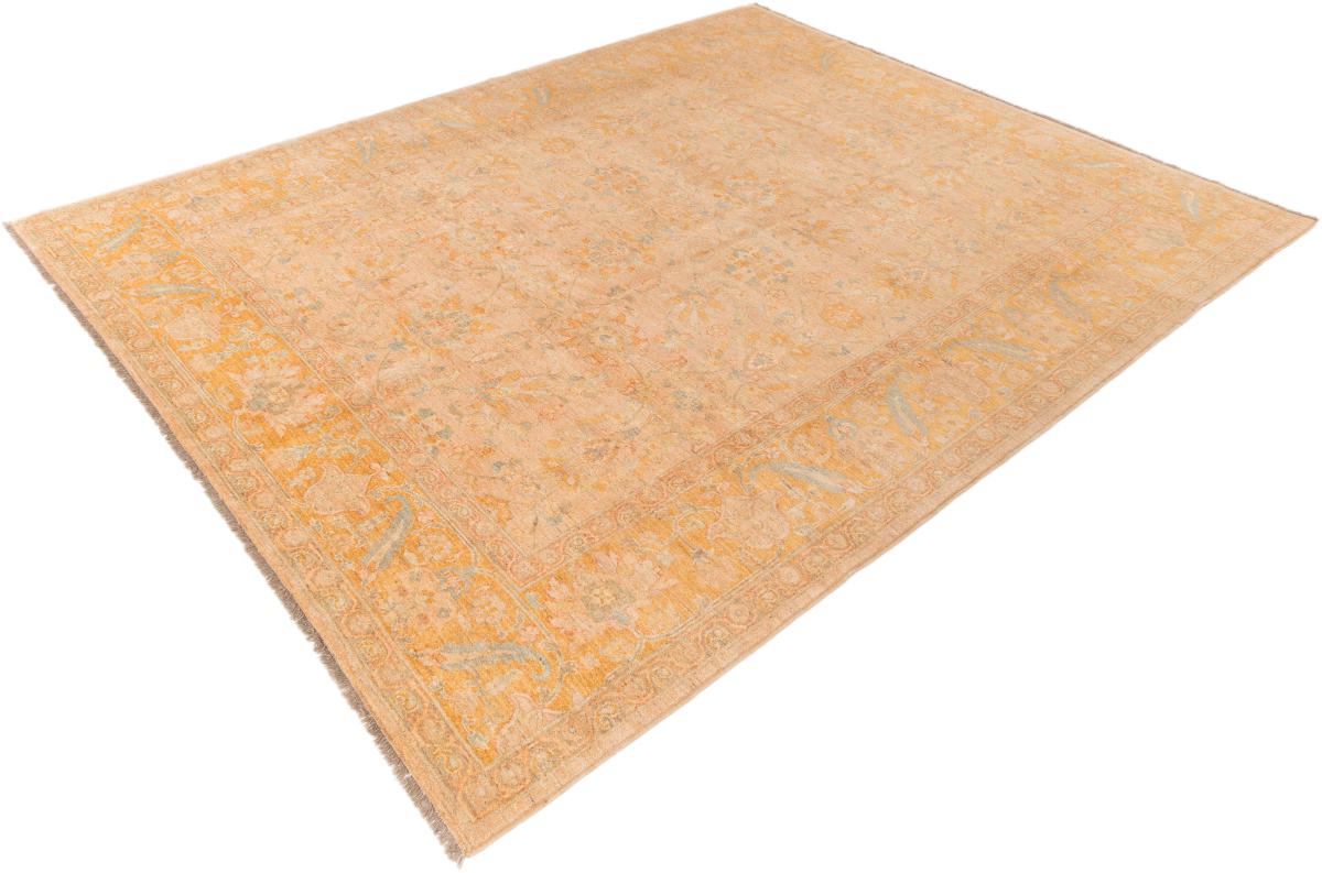 Ziegler Farahan - 1