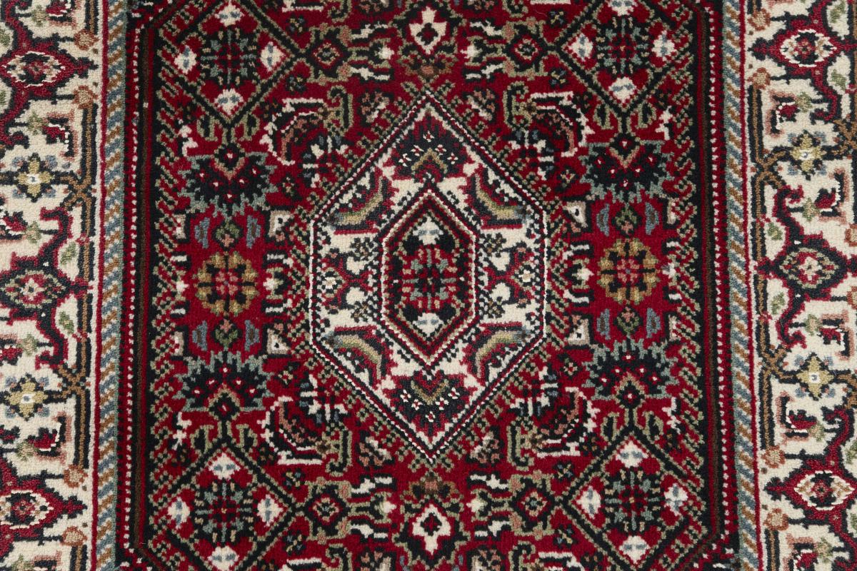 Indo Bidjar - 1