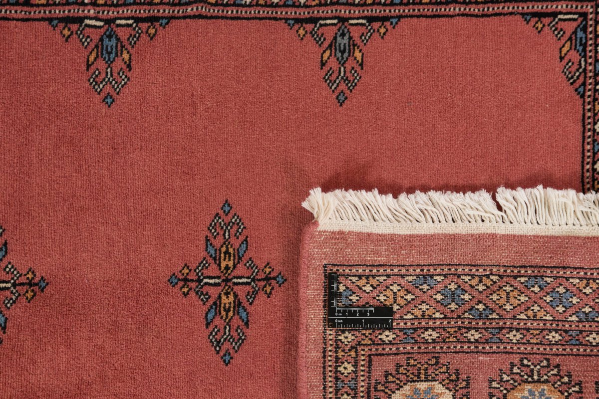 Pakistan Buchara 2ply - 1