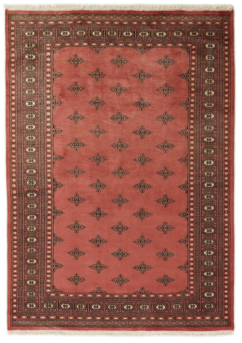 Pakistański dywan Pakistański Buchara 2ply 236x168 236x168, Dywan perski Ręcznie tkany