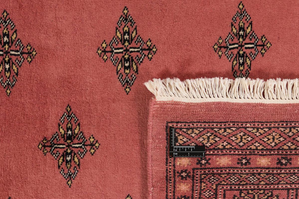 Pakistański Buchara 2ply - 1
