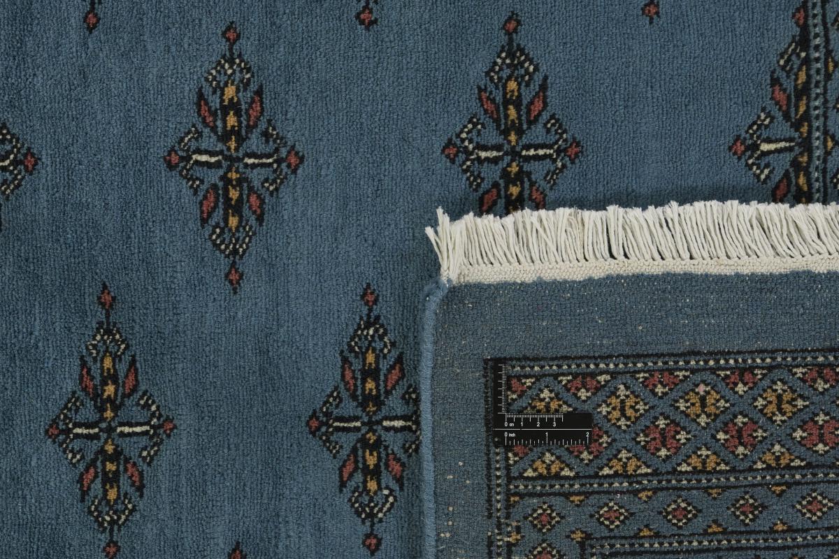 Pakistan Buchara 3ply - 1