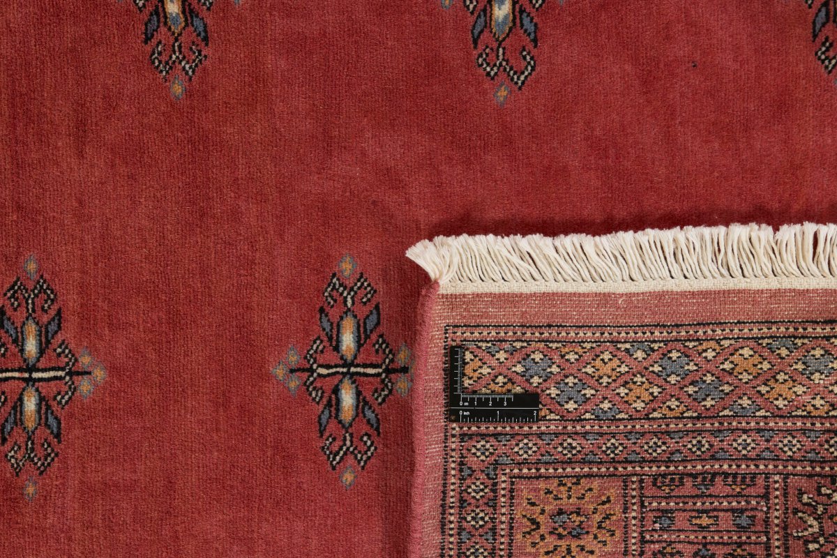 Pakistan Buchara 2ply - 1