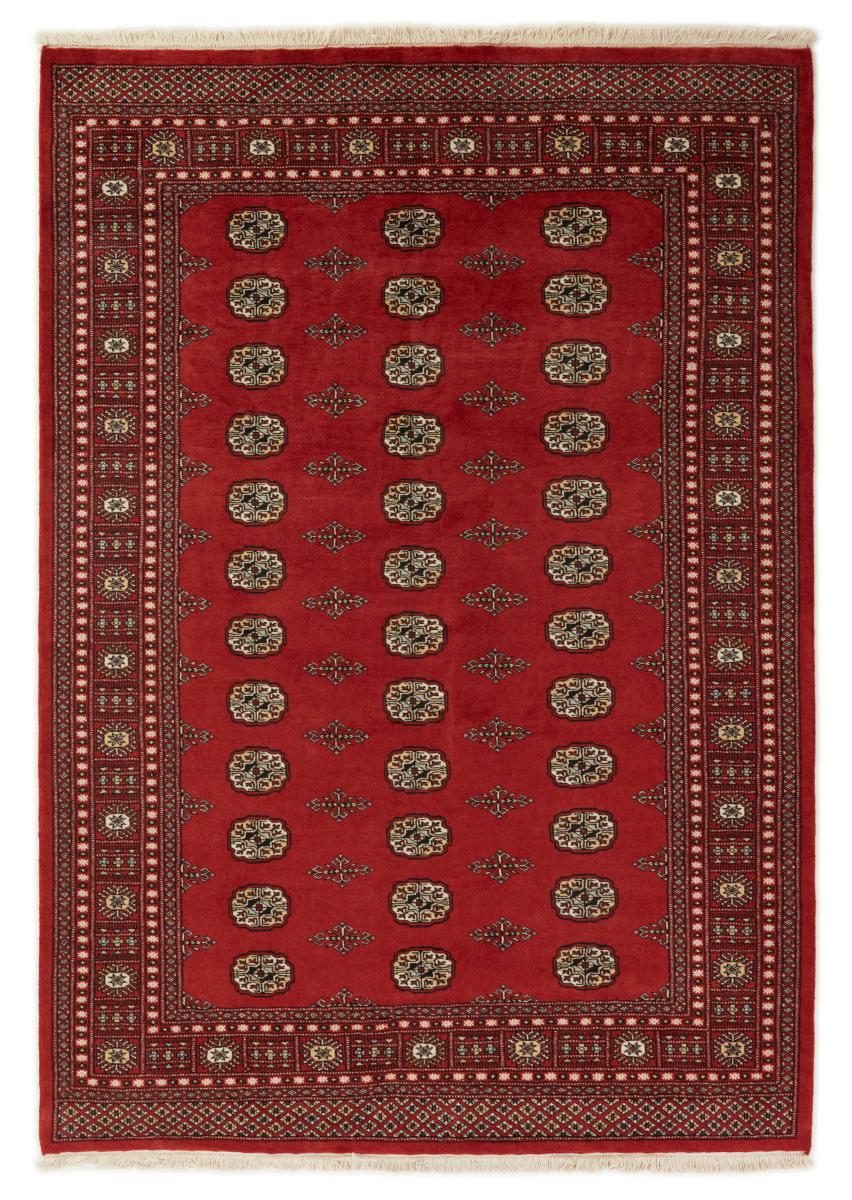 Pakistani rug Pakistan Buchara 2ply 246x172 246x172, Persian rug Hand-knotted