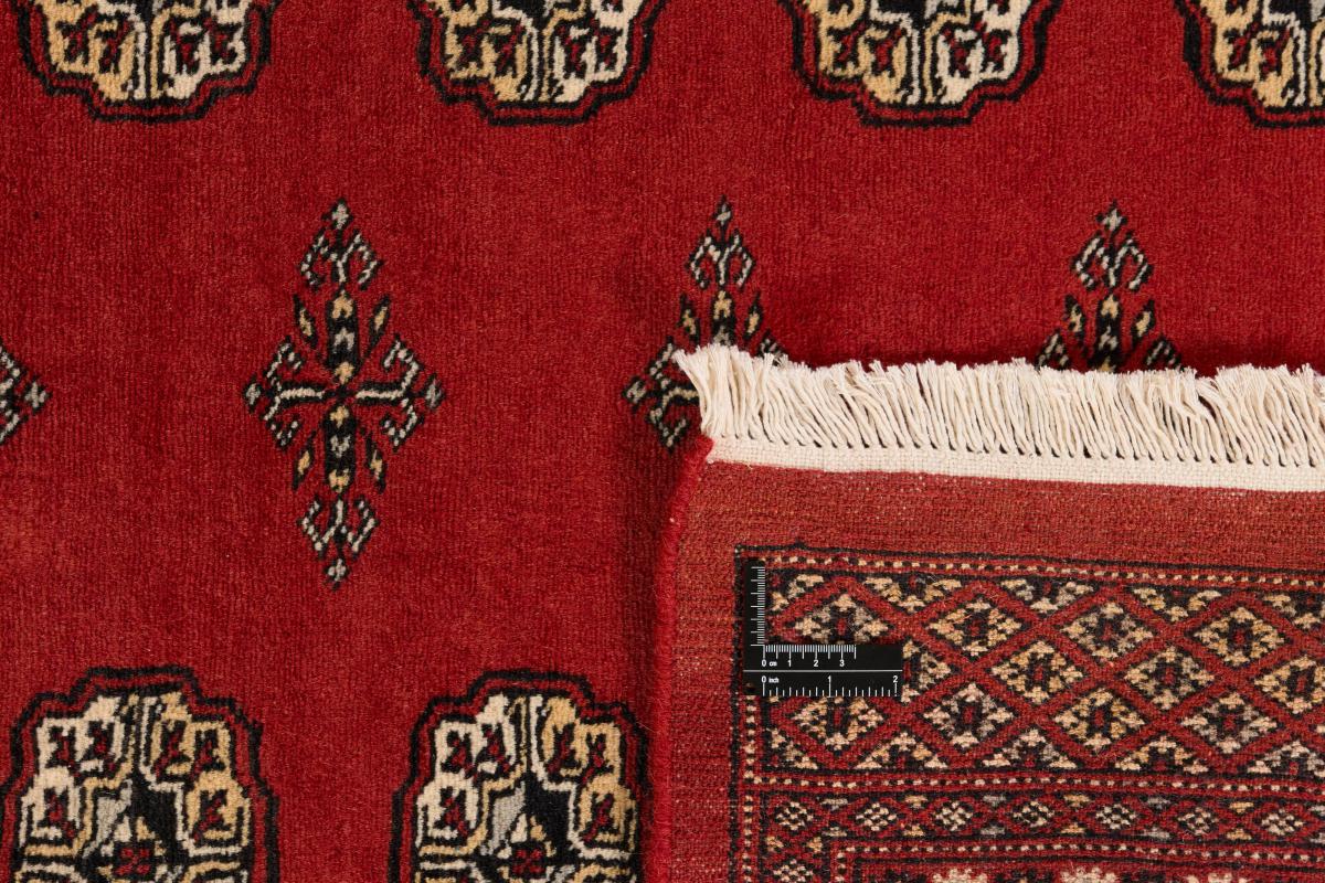 Pakistan Buchara 2ply - 1